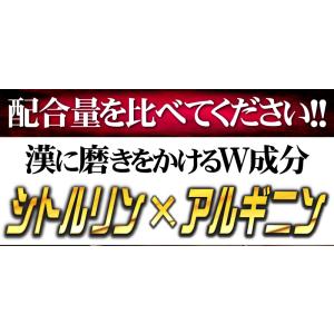 シトルリン サプリ アルギニン 送料無料 (最...の詳細画像1