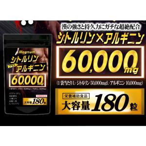 シトルリン サプリ アルギニン 送料無料 (最...の詳細画像3