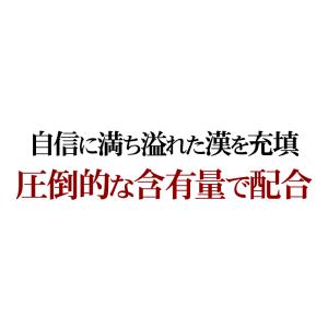 シトルリン サプリ アルギニン 送料無料 (最...の詳細画像4