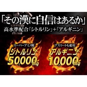 シトルリン サプリ アルギニン 送料無料 (最...の詳細画像5