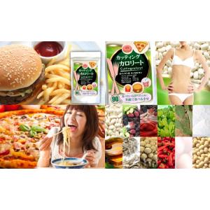 ダイエット サプリ 【送料無料(メール便限定)...の詳細画像2