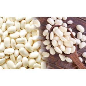 ダイエット サプリ 【送料無料(メール便限定)...の詳細画像5