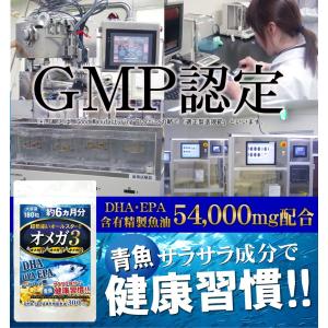 DHA EPA サプリ 必須脂肪酸 送料無料 ...の詳細画像1