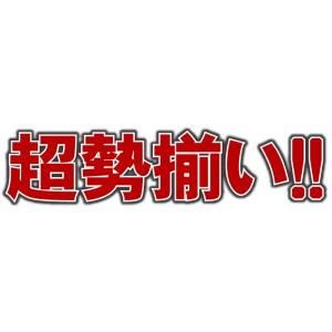 DHA EPA サプリ 必須脂肪酸 送料無料 ...の詳細画像3