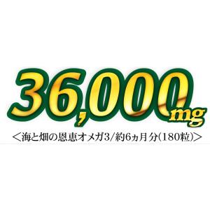 えごま油 サプリメント DHA EPA α-リ...の詳細画像2