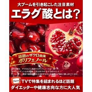 エラグ酸 サプリ(約6ヵ月分/360粒)ダイエ...の詳細画像2