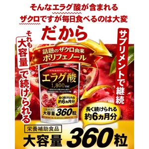 エラグ酸 サプリ(約6ヵ月分/360粒)ダイエ...の詳細画像3