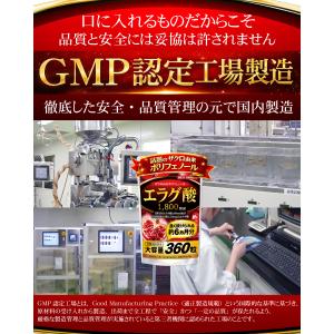 エラグ酸 サプリ(約6ヵ月分/360粒)ダイエ...の詳細画像4