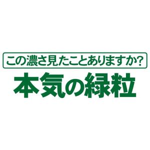 みどりむしサプリ ユーグレナ サプリメント 約...の詳細画像4