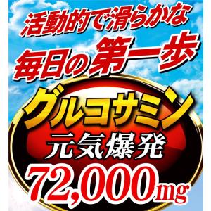 グルコサミン コンドロイチン サプリメント 送...の詳細画像1