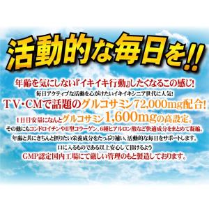 グルコサミン コンドロイチン サプリメント 送...の詳細画像3