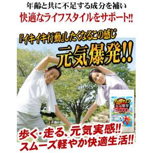 グルコサミン コンドロイチン サプリメント 送...の詳細画像4