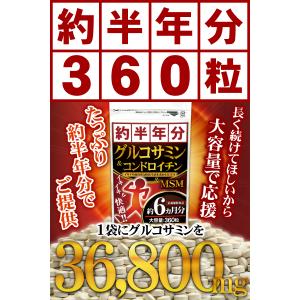 グルコサミン コンドロイチン サプリ サプリメ...の詳細画像1
