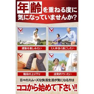 グルコサミン コンドロイチン サプリ サプリメ...の詳細画像2