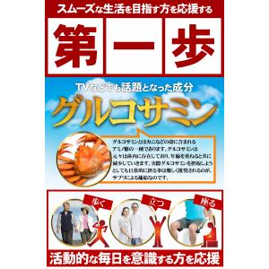 グルコサミン コンドロイチン サプリ サプリメ...の詳細画像3
