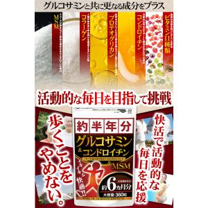 グルコサミン コンドロイチン サプリ サプリメ...の詳細画像4