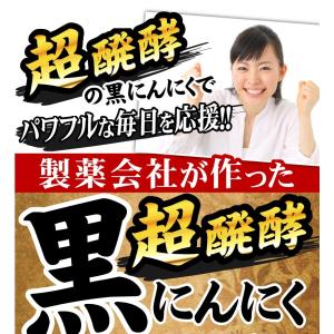 にんにく卵黄 サプリメント お試し ニンニクサプリの詳細画像1