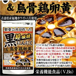 にんにく卵黄 サプリメント お試し ニンニクサプリの詳細画像2