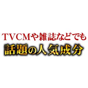 にんにく卵黄 サプリメント お試し ニンニクサプリの詳細画像3