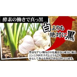 にんにく卵黄 サプリメント お試し ニンニクサプリの詳細画像5