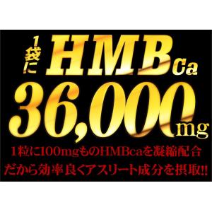 【送料無料】HMB サプリメント ダイエット ...の詳細画像5