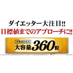 コンブチャ サプリ きのこ紅茶 サプリメント ...の詳細画像1