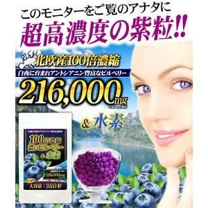 ビルベリー サプリ 水素 ルテイン  【メール便送料無料】北欧産100倍濃縮ビルベリーPLUS水素（...