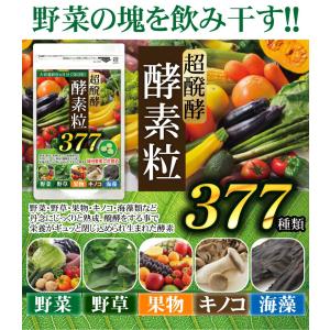 酵素 サプリ (大容量約6ヵ月分/360粒)サ...の詳細画像3