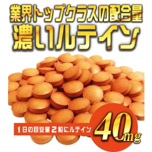ルテイン サプリメント サプリ 送料無料 マル...の詳細画像1