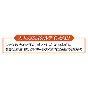 ルテイン サプリメント サプリ 送料無料 マル...の詳細画像3