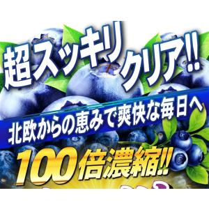 ビルベリー サプリメント ルテイン(大容量約6...の詳細画像1