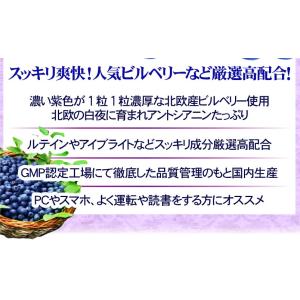 ビルベリー サプリメント ルテイン(大容量約6...の詳細画像4