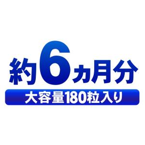 ビルベリー サプリメント ルテイン(大容量約6...の詳細画像5