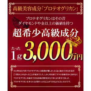 プロテオグリカン サプリ サプリメント 約6か...の詳細画像3