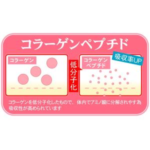 (約6ヵ月分/360粒)すっぽん サプリ サプ...の詳細画像4