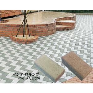 敷きレンガ　ハイ・ブリック４(200×100×60mm）