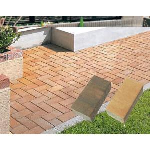 敷きレンガ　ハイ・ブリックS春夏秋冬(200×100×60mm）