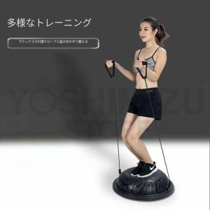 ニシ・スポーツ NISHI バランスボード トレーニング用品 バランス