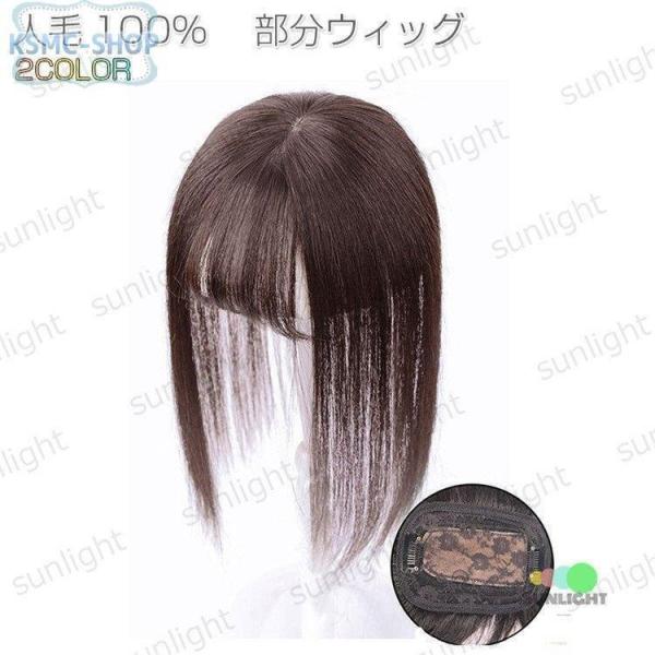 部分ウィッグ 人毛 トップカバー 薄毛 白髪隠し ウィッグ 総手植え 自然 小顔効果 増毛 分け目 ...