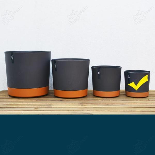 給水プランター 植木鉢 L 樹脂製 底面給水鉢 大きい 園芸 ガーデン プレゼント 現代 ダークグレ...