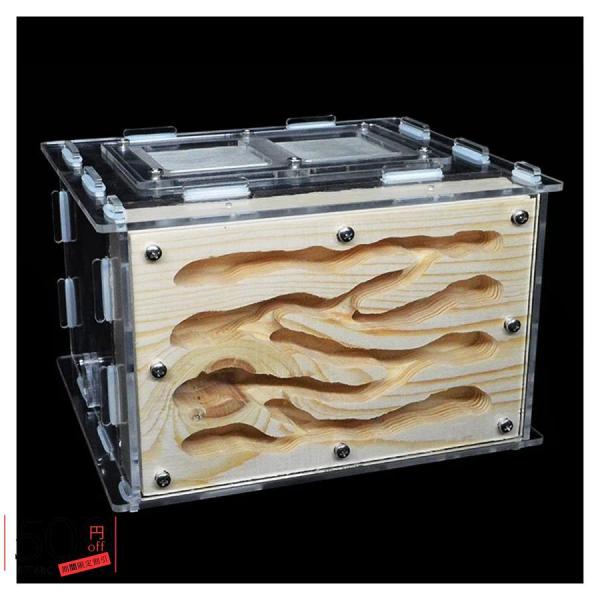 アリの巣 アリの巣 アクリル製蟻 観察 セットアリ飼育キットエコロジカルウッド 昆虫ヴィラ アリの生...