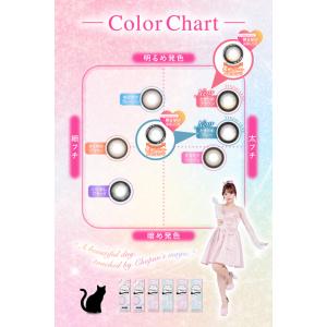 【シャプン1Day合計3箱以上ご購入で1箱分1...の詳細画像3
