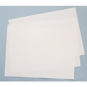 うちわ専用紙 Eタイプ 手書き用 10枚（5本分） 切り抜きなし 団扇 うちわ専用