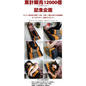 三角枕 タイ 三角 クッション 枕 5段 マッ...の詳細画像1