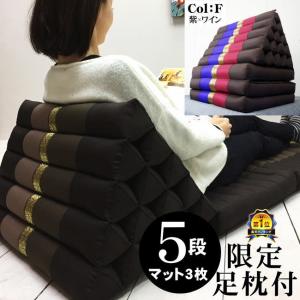 西式健康法 甲田療法 平床 寝台 大 二つ折り : 足湯フットバス通販は