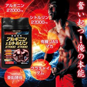 シトルリン アルギニン サプリ マカ 亜鉛 サ...の詳細画像4