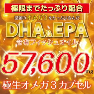 DHA EPA サプリ オメガ3 フィッシュオ...の詳細画像1