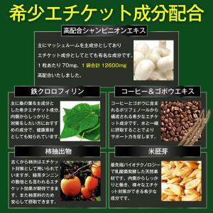 口臭 サプリ サプリメント シャンピニオン デ...の詳細画像4