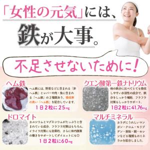 ヘム鉄 サプリ 鉄分 サプリメント 鉄 大容量...の詳細画像2