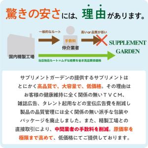 ヘム鉄 サプリ 鉄分 サプリメント 鉄 大容量...の詳細画像5